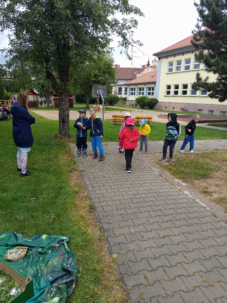 IMG_20250529_100806[1]