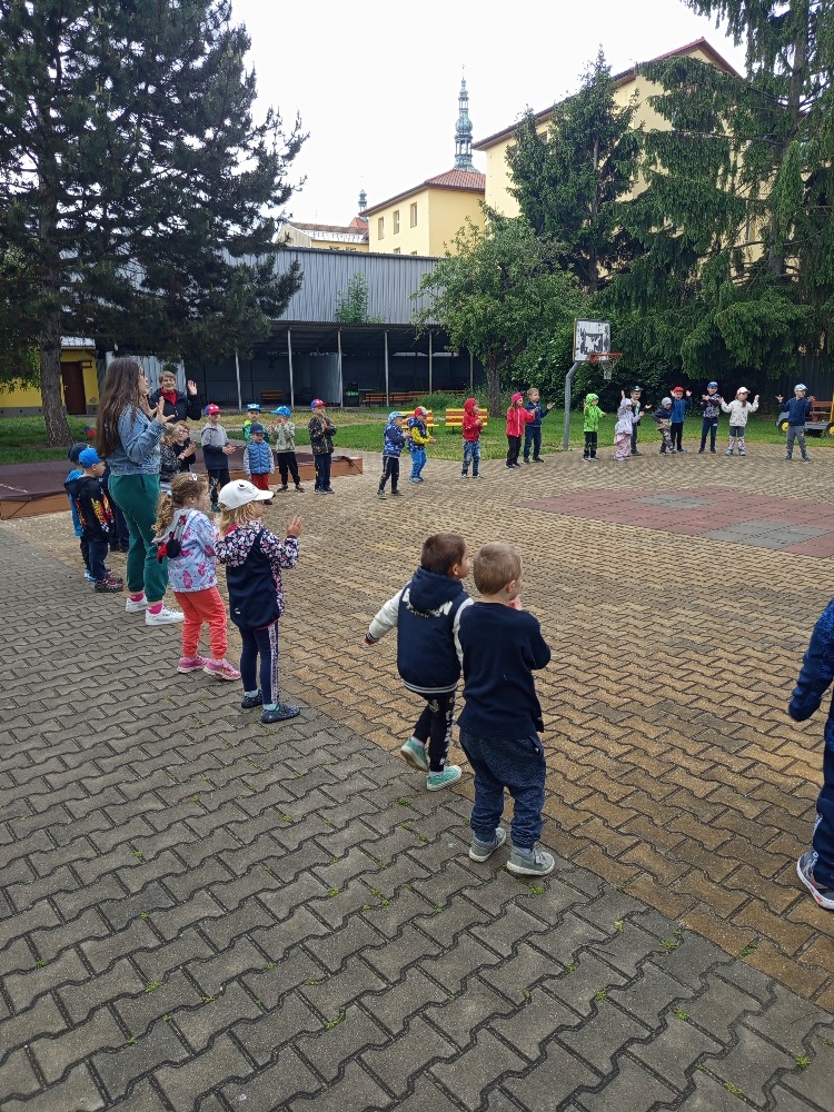 IMG_20250529_110148[1] (1)