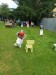 IMG_20250529_100637[1]